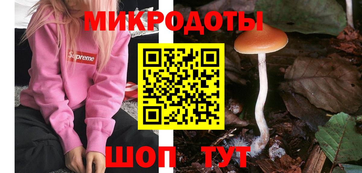 Псилоцибиновые грибы MAGIC MUSHROOMS  Псилоцибиновые грибы прущие грибы  Вход с VPN  Шатура 