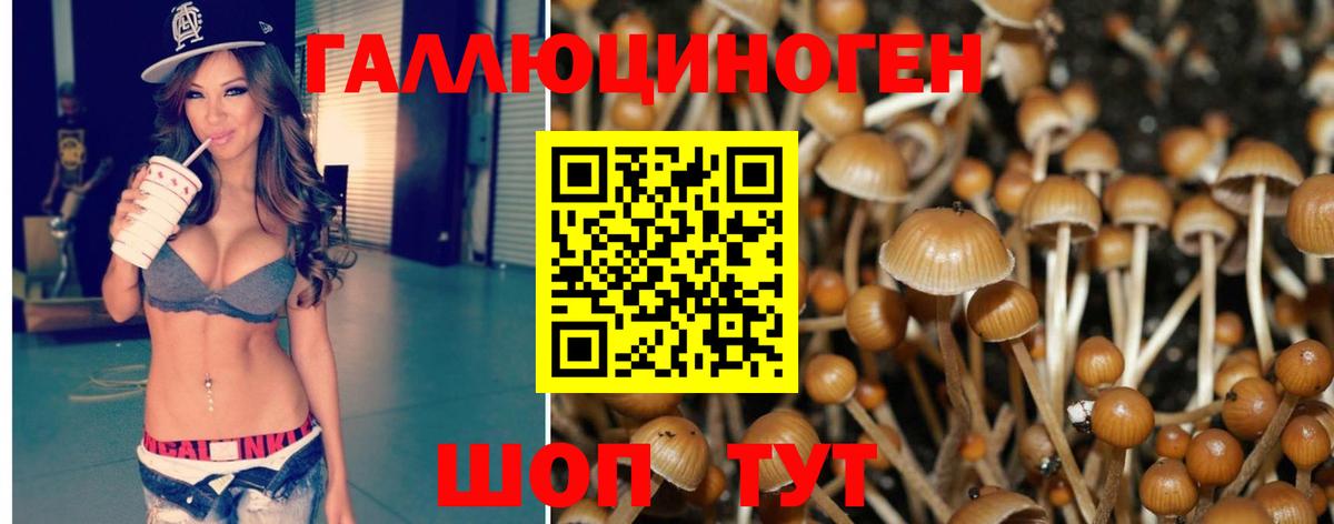 Псилоцибиновые грибы GOLDEN TEACHER Шатура