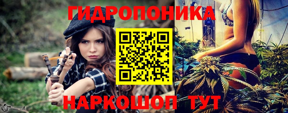 Шишки марихуана сатива  Бошки марихуана White Widow  Вход с VPN  МАРИХУАНА сатива  Марихуана конопля  Шатура 